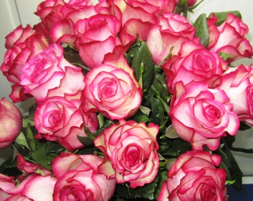 Роза Карусель